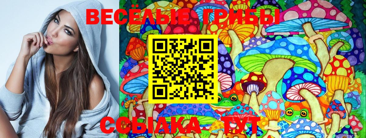Галлюциногенные грибы Psilocybine cubensis  Вход с VPN  Владимир 